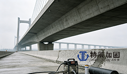 1784962038593925.png 混凝土结构病害治理——混凝土碱骨料反应处置项目介绍.png