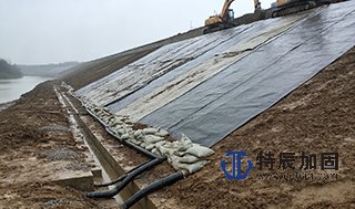 水利设施应急抢修与加固 —— 渗漏治理