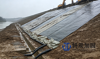 水利设施应急抢修与加固——渗漏治理项目介绍.png