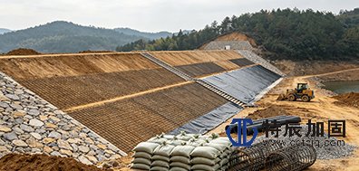 水利设施应急抢修与加固——塘坝堰坝应急抢修与加固
