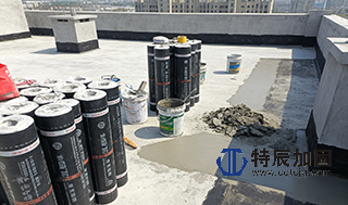 屋面整体防水翻新项目介绍.png