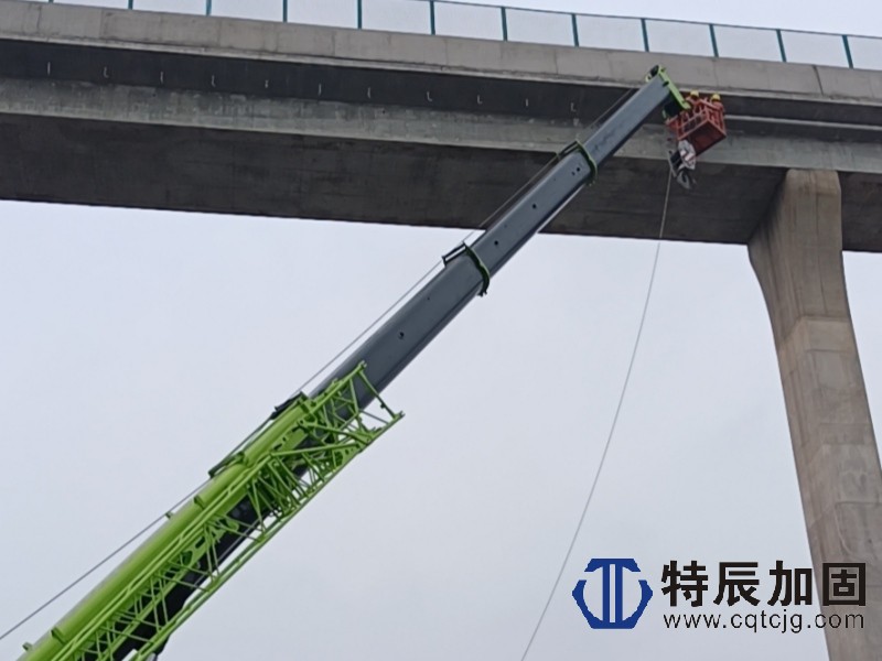 1786153133152139.jpg 微信图片_2021070414180521.jpg