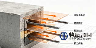 1787102989180141.png 官网.png