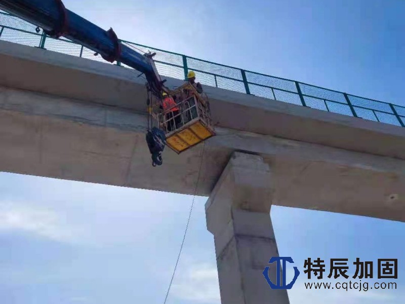 1788241757378492.jpg 微信图片_2021070414102310.jpg